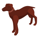 perro icon