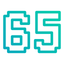 65 
