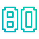 80