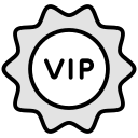 vip 