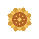 girasol icon