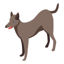 perro icon