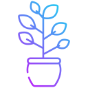 ficus icon