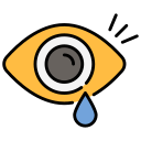 ojo icon