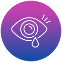 ojo icon