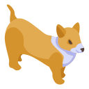 perro icon