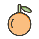 mandarina icon