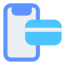 Online payment 