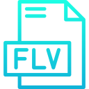 flv icon