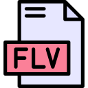 flv icon