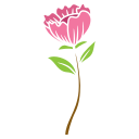 rosa icon