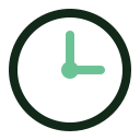 reloj icon