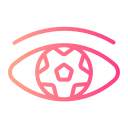 ojo icon