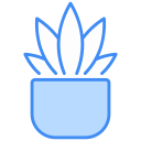 cactus icon