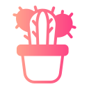 cactus icon