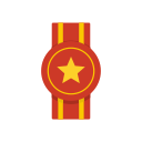 Ribbon icon