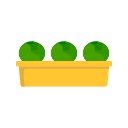 fruta icon