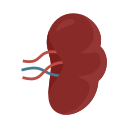 Medical 