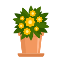 naturaleza icon