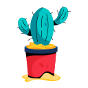 maceta de cactus 