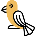 pájaro icon