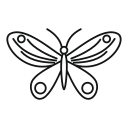 fliege 
