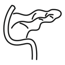 System 