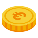 Euro icon