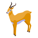 gazela 