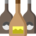 botella icon