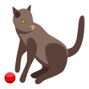 gato icon