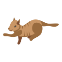 gato icon