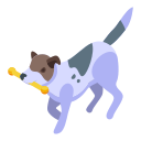 cachorro 