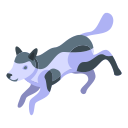 cachorro 
