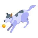 cachorro 