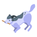 cachorro 