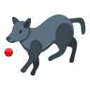 cachorro 