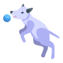 cachorro 