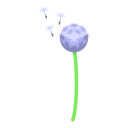 식물 
