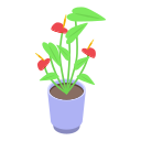 flor 