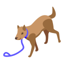 cachorro 