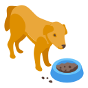 comida 