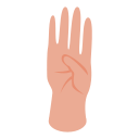 Hand 