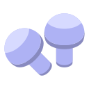 champignon 