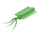 antibiotikum 