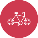 ciclo icon