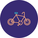 ciclo icon