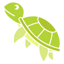 tortuga icon