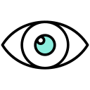 ojo icon