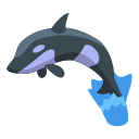 ballena icon